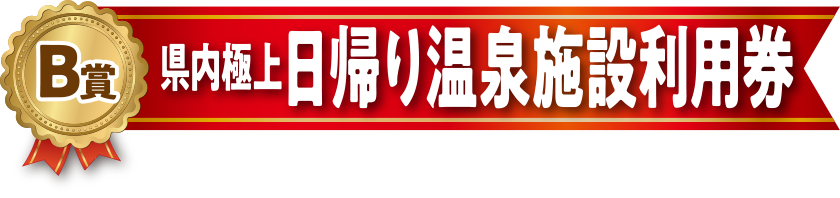 B賞 日帰り温泉施設利用券